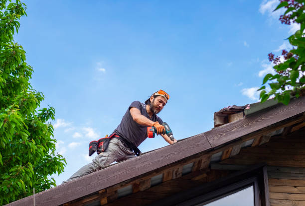 Best Metal Roofing Installation  in Peebles, OH